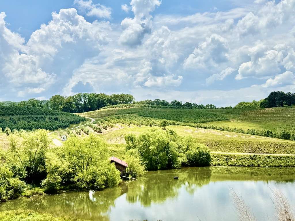 Land and acreage for sale in North Georgia and Western North Carolina