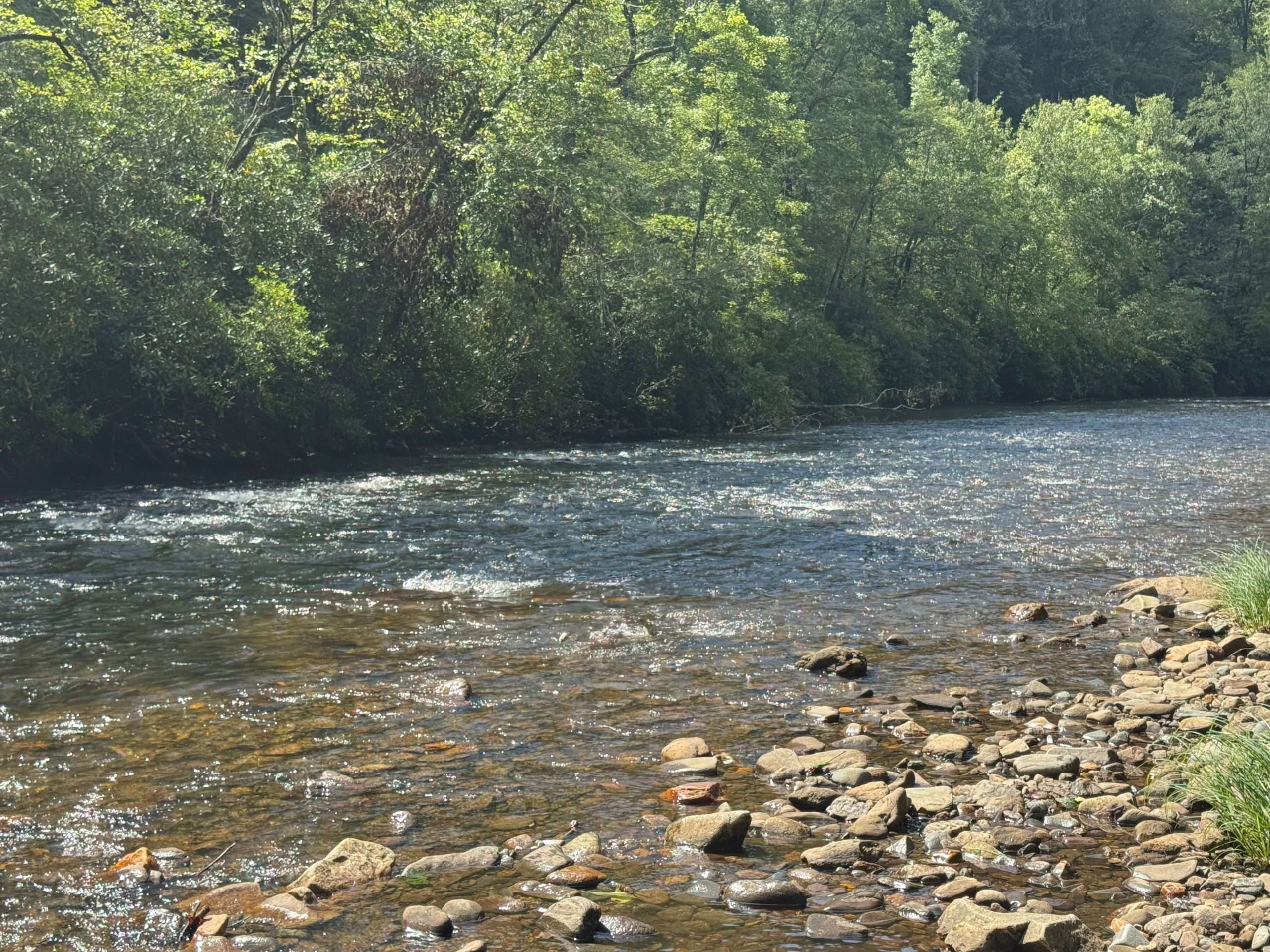 Nantahala River real estate with riverfront home and mountain views in Western North Carolina