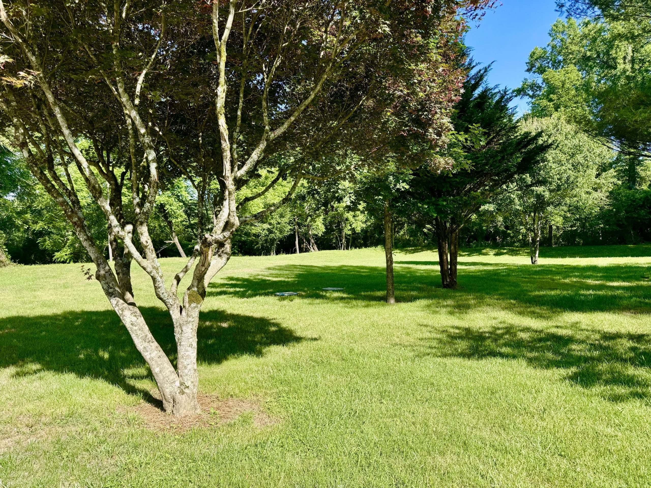 6389 Old Hwy 64 W Warne NC