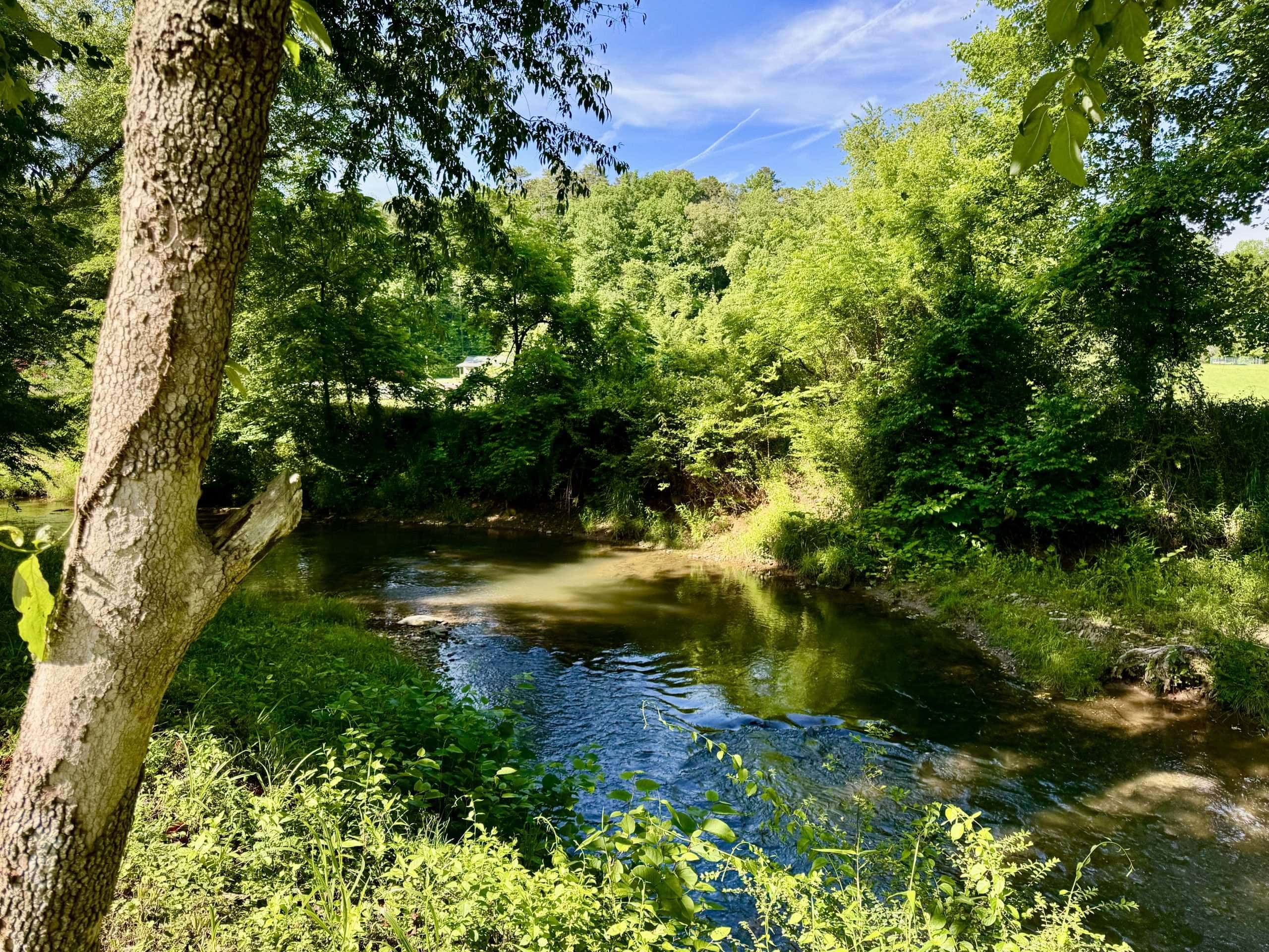 6389 Old Hwy 64 W Warne NC