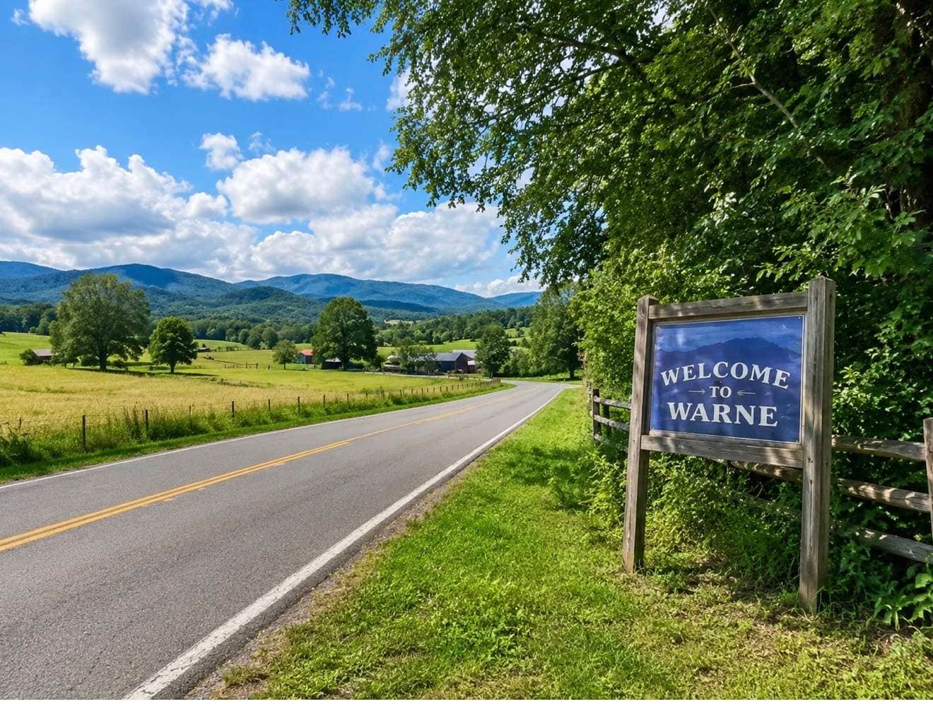 Warne NC real estate with mountain views and pastureland
