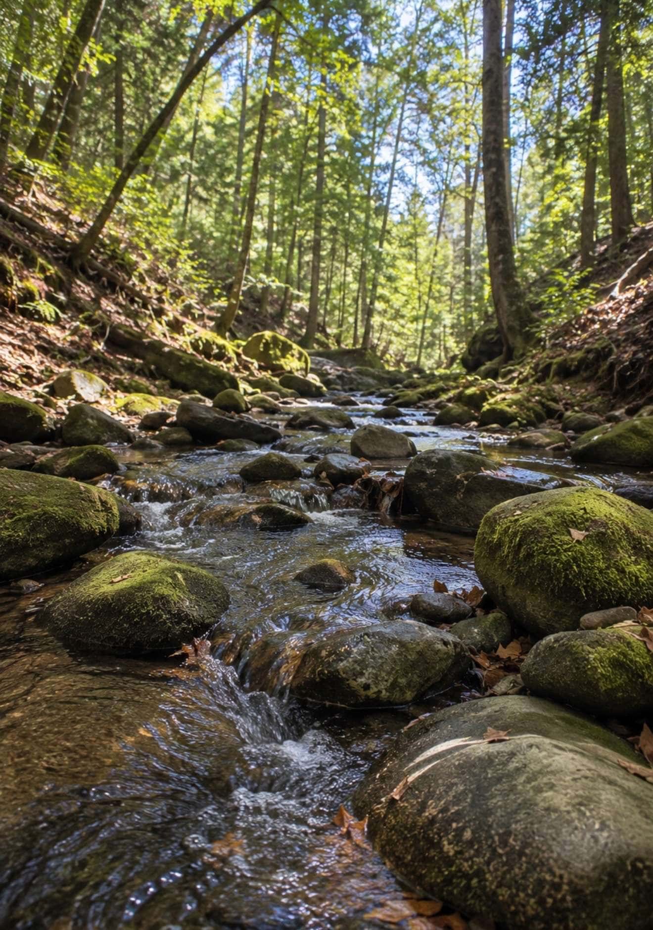 Andrews NC Valley River area and mountain real estate